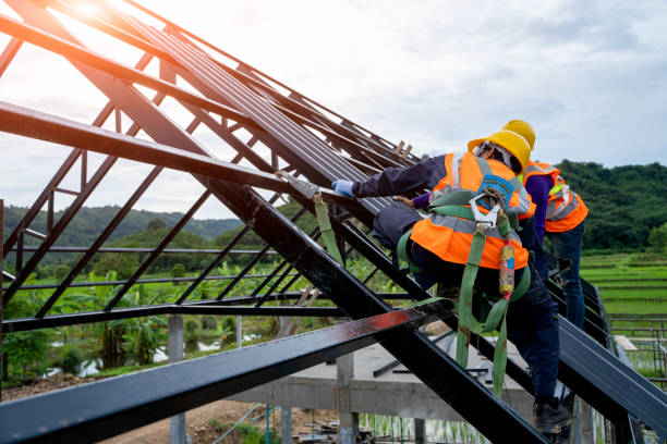 Best New Roof Installation  in Hodgkins, IL