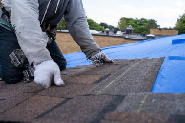 Best Metal Roofing Contractor  in Hodgkins, IL