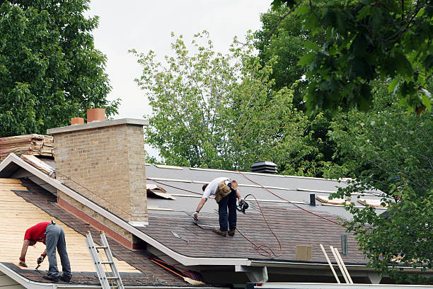 Best Flat Roof Repair Services  in Hodgkins, IL