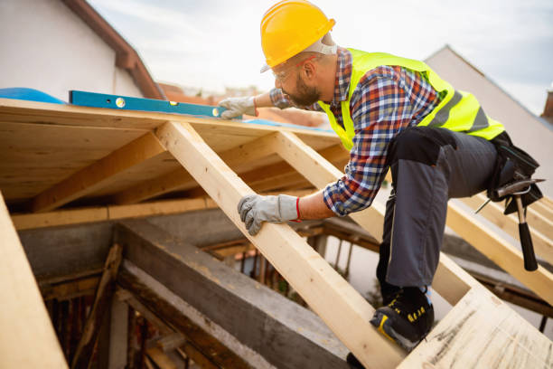 Best Roof Maintenance Services  in Hodgkins, IL