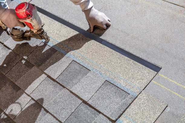 Trusted Hodgkins, IL Roofing Contractor Experts